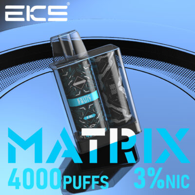 EICS MATRIX 4000 Puffs Recharge Box 